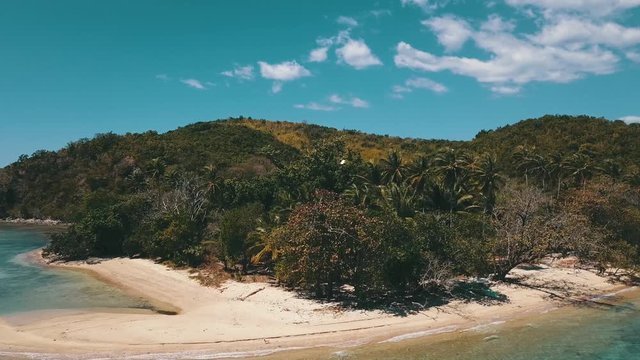 forward flight over a beach with some birds flying in front on the camera