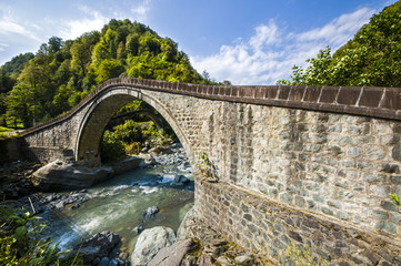 Fototapeta na wymiar bridge over the river artvin turkey çifteköprüler 