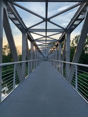 bridge in the forest