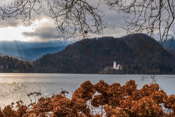 Island in Lake Bled. Dreamlike atmosphere for the Church of S. Maria Assunta. slovenia