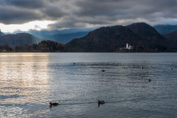 Naklejka na ściany i meble Island in Lake Bled. Dreamlike atmosphere for the Church of S. Maria Assunta. slovenia