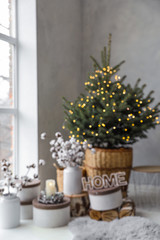 Blurred view of little Christmas tree in bedroom. Festive interior