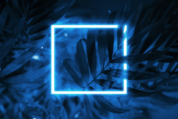 Tropical blue background neon square frame. - Powered by Adobe