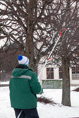 gardener pruning pruning trees in winter in a park. vertical