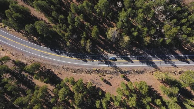Vehicles Rides On Serpentine Highway Crossing Pine Forest On A Mountain Pass