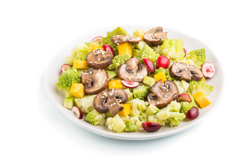 Vegetarian salad from romanesco cabbage, champignons, cranberry, avocado and pumpkin isolated on a white background. side view.