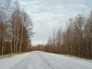 first snow. winter forest snowy white road