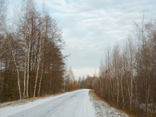 first snow. winter forest snowy white road