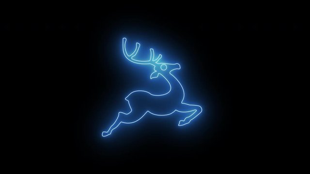 4k Video Reindeer, ProRes 4444