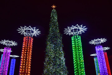 Obraz na płótnie Canvas Christmas tree lights.