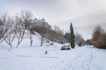 Castle and park in winter