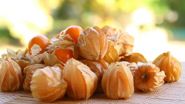 Pile of cape gooseberry in plate, out door  Chiangmai Thailand