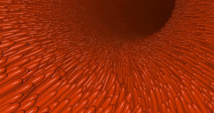 Lush Lava. Microscopic villi and capillary. Villa for medical design. Digestive tract, gut, intestine, stomach, colon, bowel concept 4k