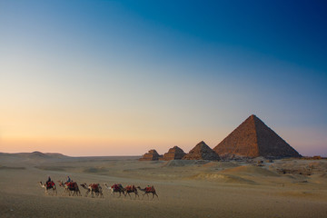 camel caravan at sunset at giza pyramids egypt