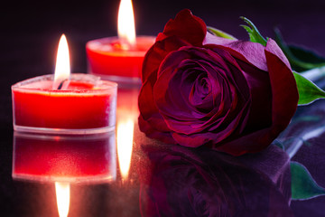 Red Rose and Burning Candles