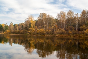 Fototapeta premium Picturesque autumn forest on the bay. Siberia