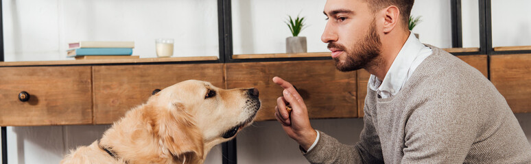 Panoramic shot of bind man training golden retriever at home