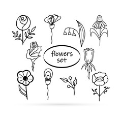 doodle flowers set icon, kids hand drawing line art camomole, rose etc, vector illustration