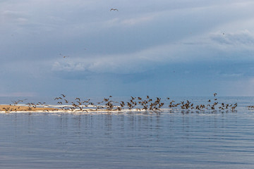 Sea sunset winter, clouds, waves, wind