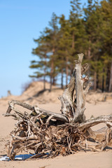 Sea sunset winter, clouds, waves, wind