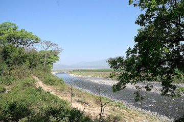 Jim corbett Tiger reserve forest, india