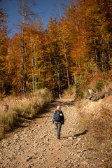 Fototapeta premium Hiker woman with backpack walking in the mountains in autumn scenery.