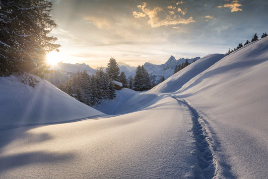 Winterlandschaft bei Abendstimmung
