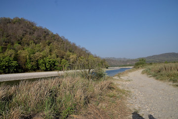 Jim corbett Tiger reserve forest, india