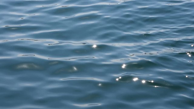 Blue sea ripple waves running on water surface