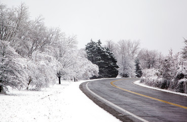 Obraz premium Winter road through the forest