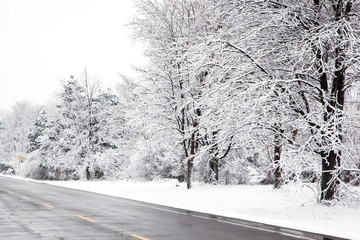 Winter road at snow day, Ontario, Canada. Beautiful winter landscape