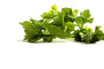 Fototapeta premium fresh celery isolated on white background