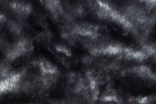 Fototapeta Fur soft pattern grey background