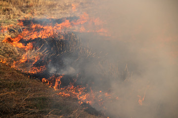 The agricultural waste burning cause of smog and pollution