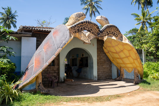 Bentota, Sri Lanka - November 20, 2019: Exterior of the A & A Sea Turtle Research and Conservation Center, where baby sea turtles are set free to the sea daily