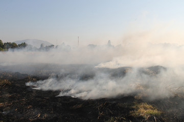Fototapeta na wymiar The agricultural waste burning cause of smog and pollution