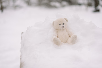 Children's soft toy in the snow