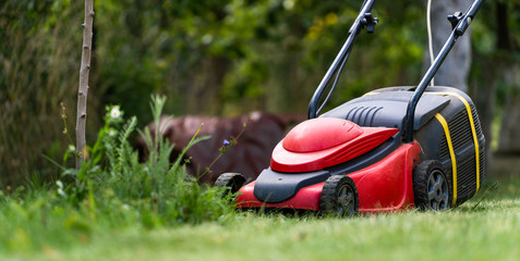 Fototapeta na wymiar Lawn mower on a lawn in the garden, gardening. Red machine with tank for grass. Gardening concept.
