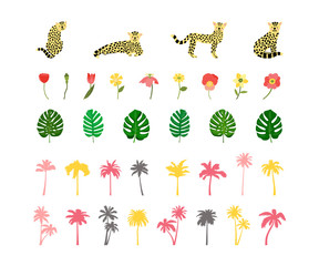 Set of leopards,flowers,plants, palms in flat style, vector.