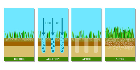 Lawn aeration before and after, vector illustration.