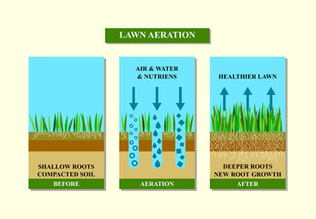 Lawn aeration before and after, vector illustration.
