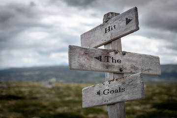 Hit the goals text on wooden rustic signpost outdoors in nature/mountain scenery. Goals, future and hard work.