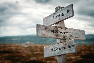 Long, short, surprise text on wooden rustic signpost outdoors in nature/mountain scenery. Short term, long term and stop loss concept. Long and short road, easy and difficult concept.