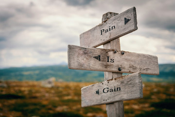 Pain is gain text on wooden rustic signpost outdoors in nature/mountain scenery. Goals, pain, difficult road concept.