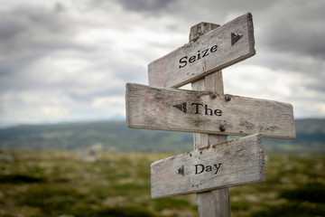 Seize the day/Carpe diem signpost outdoors in nature. Lifestyle and motivational  concept.