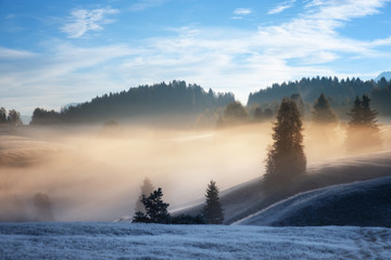 Obraz na płótnie Canvas Wonderful Alpine landscape of autumn foggy morning. Seiser Alm, Alpe di Siusi with Langkofel mountain at sunrise, Alto Adige, South Tyrol, Italy, Europe.