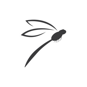 Dragonfly Illustration Icon