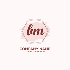 Initial BM handwriting Logo, and Brush and hexagon lines template