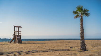 lifeguard patrol tower and palm tree at the beach