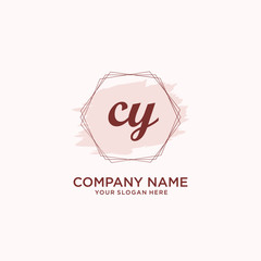 Initial CY handwriting Logo, and Brush and hexagon lines template